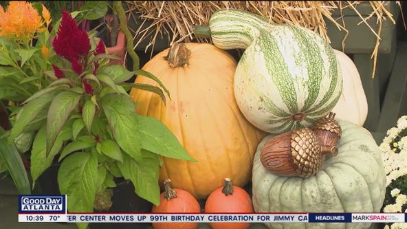 Fall decorating tips from Pike Nurseries