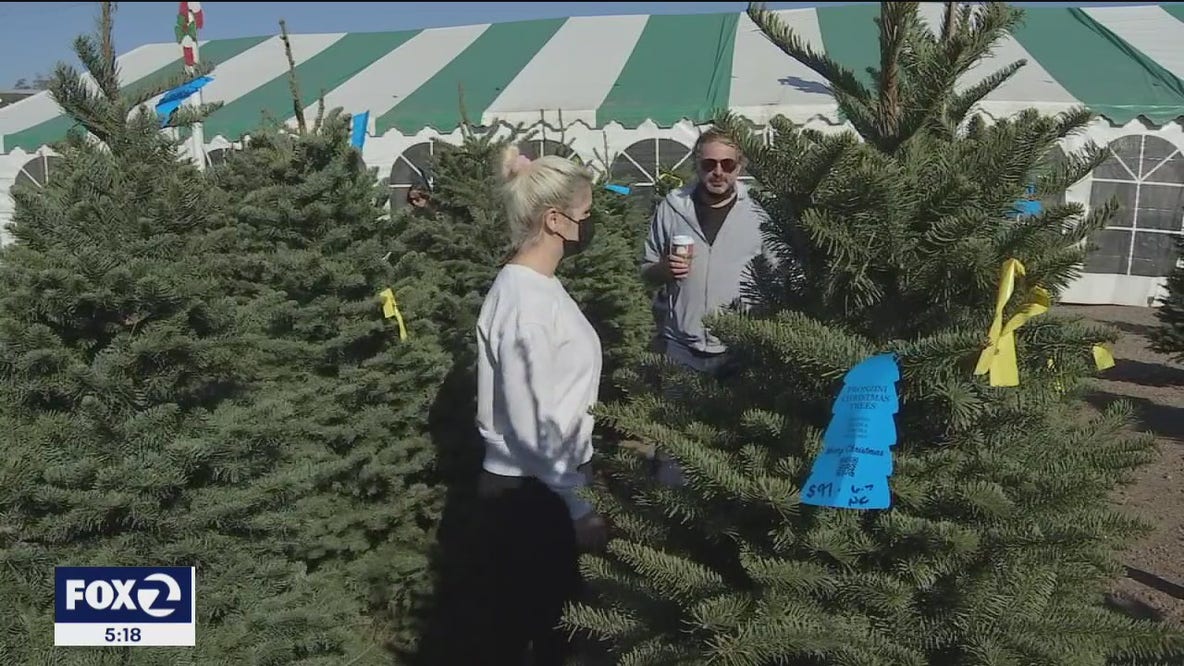 Christmas trees: A 58-year family tradition