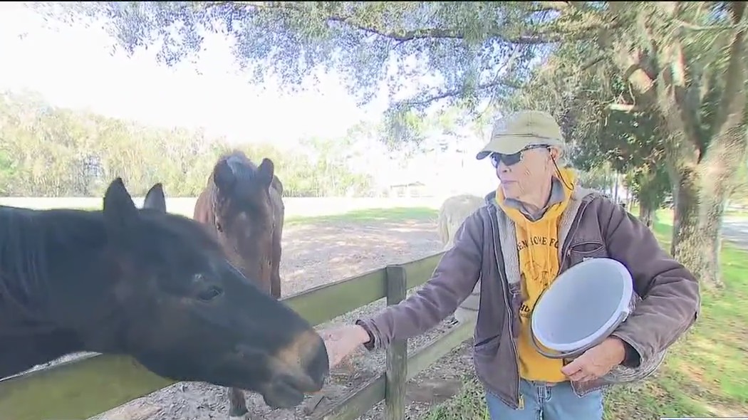 Mill Creek Farm: Retirement home for horses