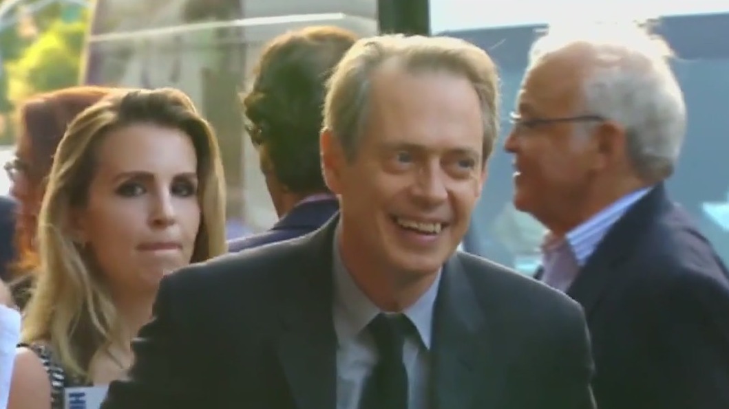 Man accused of punching Steve Buscemi
