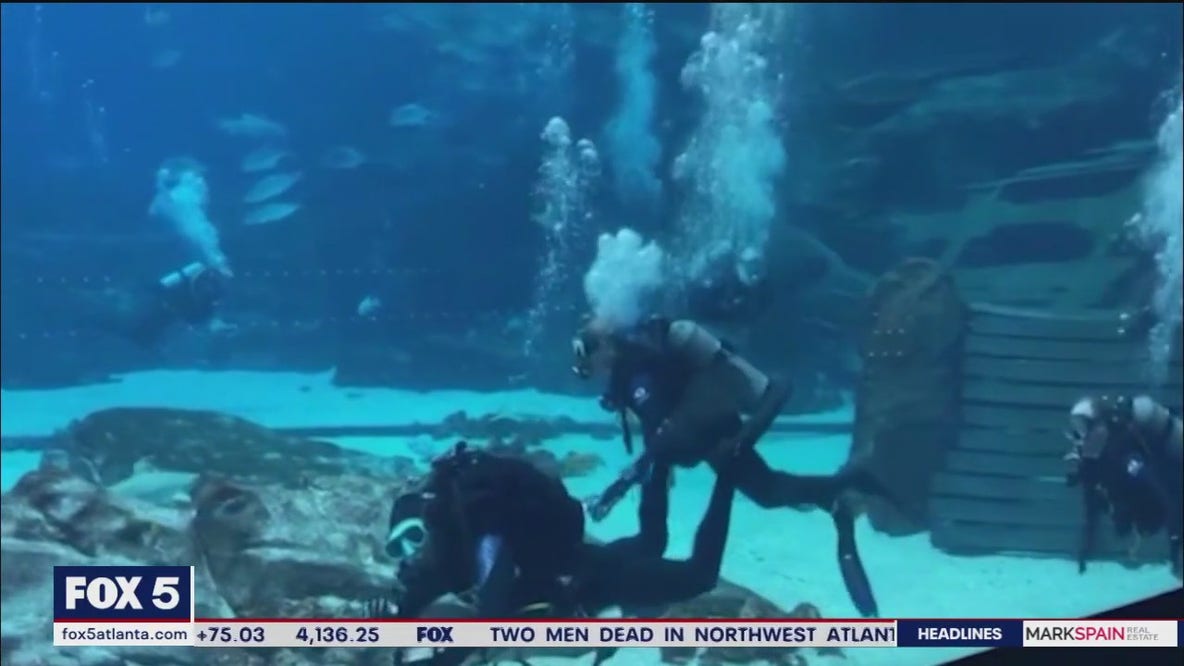 Veterans find peace through scuba diving