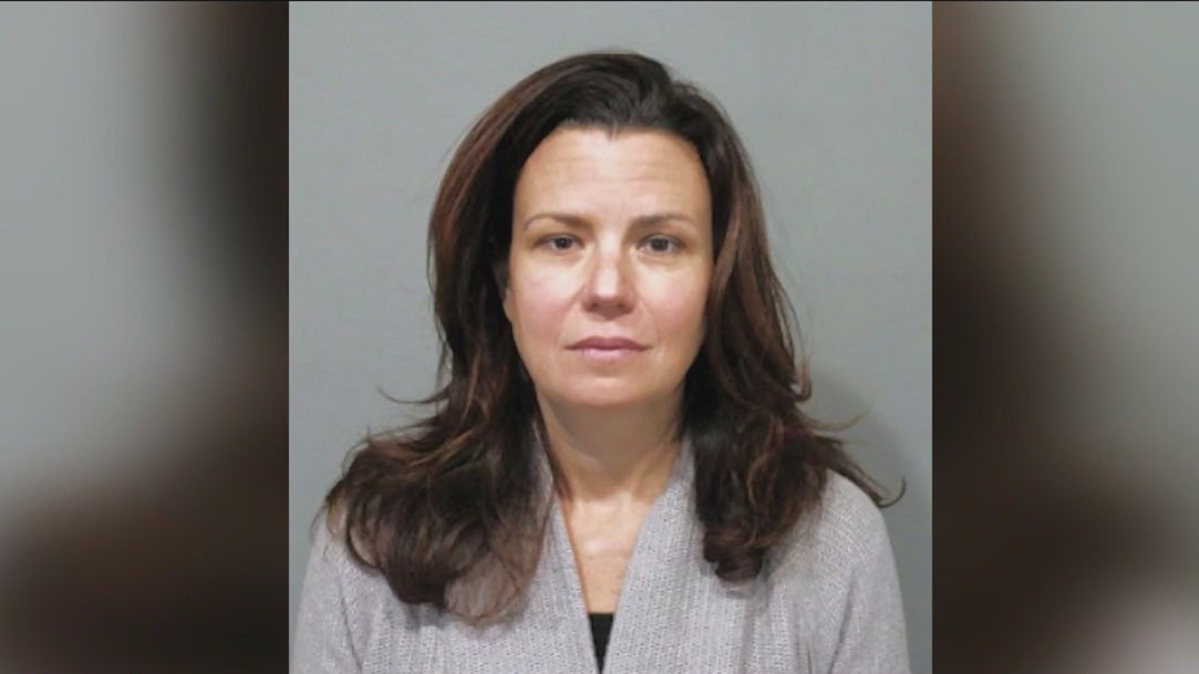 Buffalo Grove woman stole funds while working as school's PTO president: police