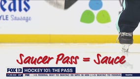 Hockey 101: The Pass