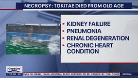 Necropsy: Tokitae died from old age