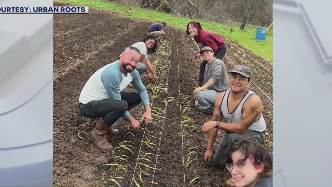 Urban Roots hosts family farming event
