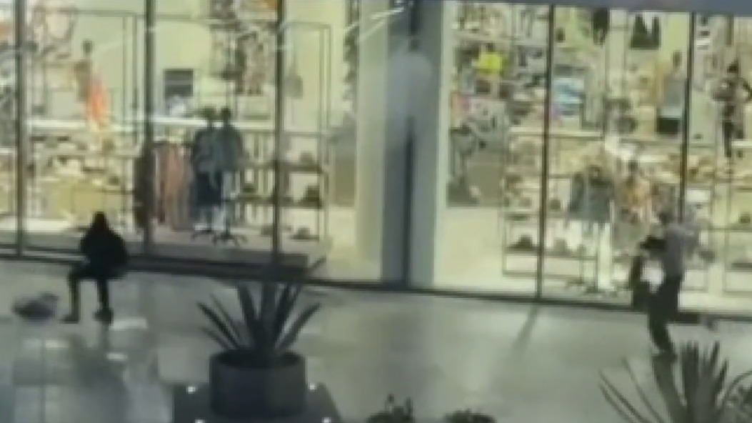 Century City mall robbery: 14 suspects wanted for targeting Nordstrom