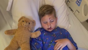 8-year-old recovering after dog attack at day care
