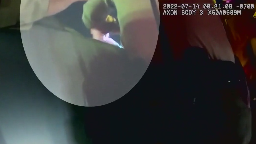 Disturbing video shows LASD deputy punching mom holding baby