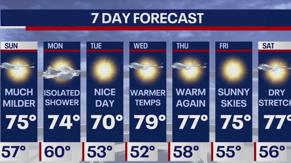 Weather Forecast