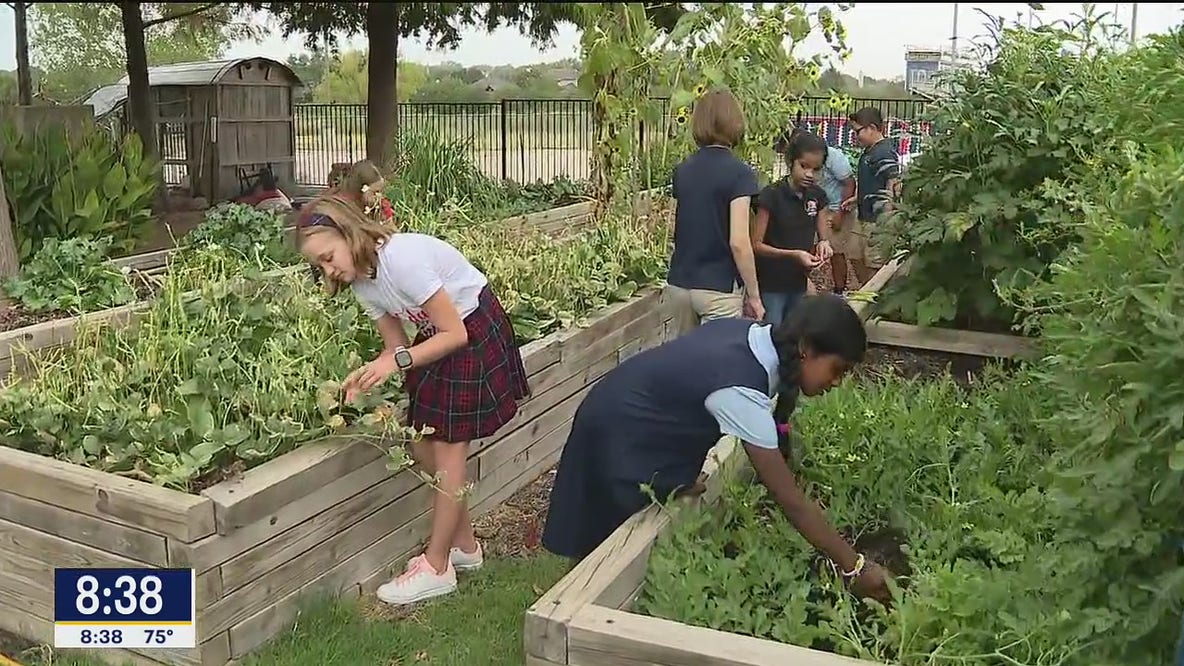 Independence Garden helping kids learn more about their food