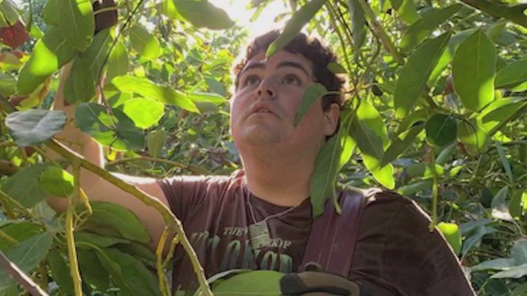 16-year-old Marin boy volunteers at Israeli farms near Gaza over Thanksgiving