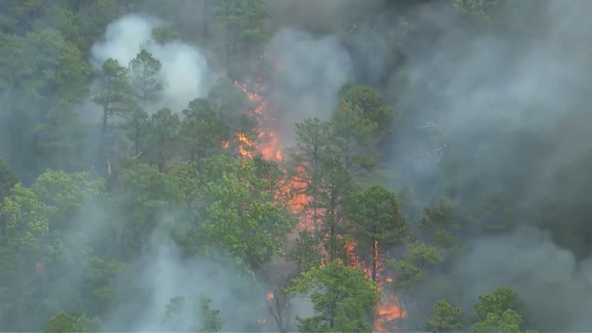 Wildfire burns in Burlington County, New Jersey
