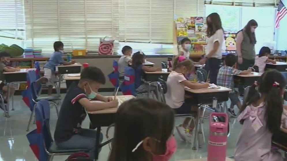NYC Schools dyslexia plan
