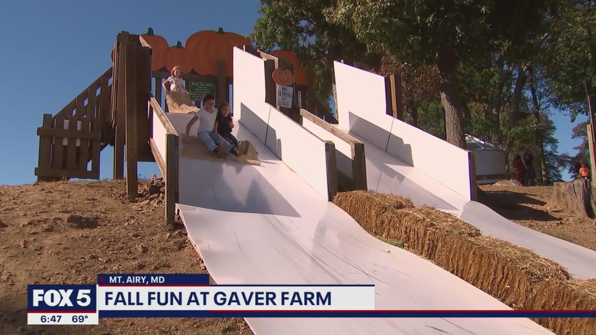 Checking out the fun Fall activities at Gaver Farm