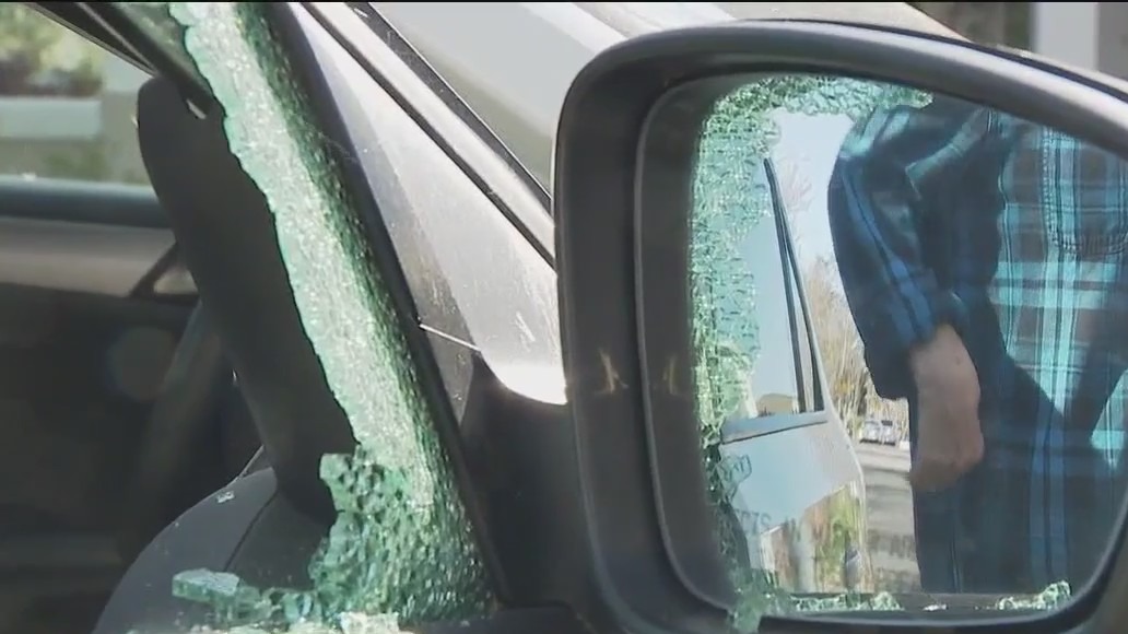 More than 30 cars bipped overnight across Petaluma