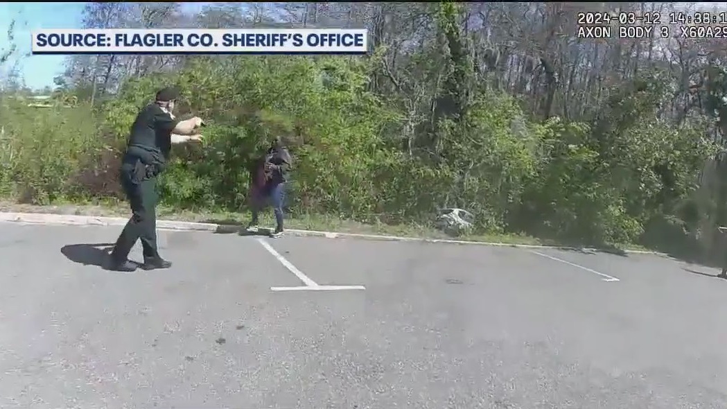 Shoplifting suspects arrested after chase