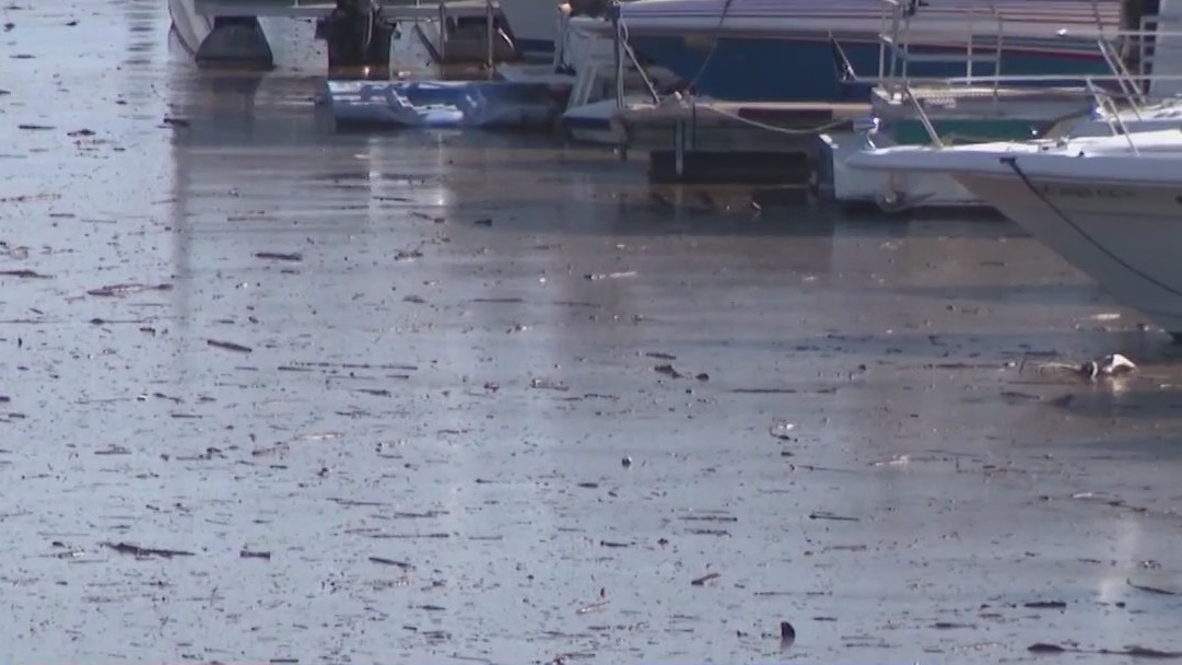 Debris forms at Lake Pleasant due to snowmelt