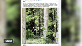 The Spotlight: Unique, unsolved and often unexpected crimes