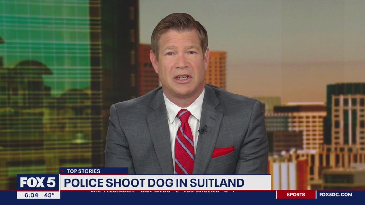 Officer shoots dog after bitten during welfare check in Suitland: police