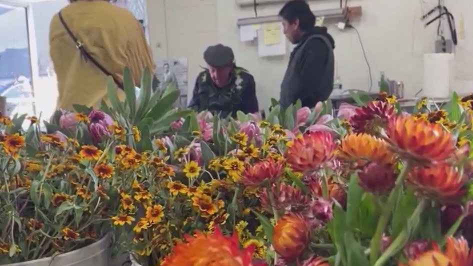 Cutting back on Valentine Day flower costs