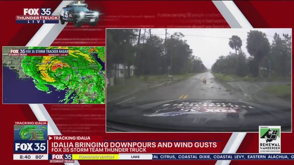 Hurricane Idalia topples tree across roadway
