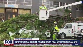 California storms: cleanup continues in the Bay Area after severe weather | LiveNOW from FOX