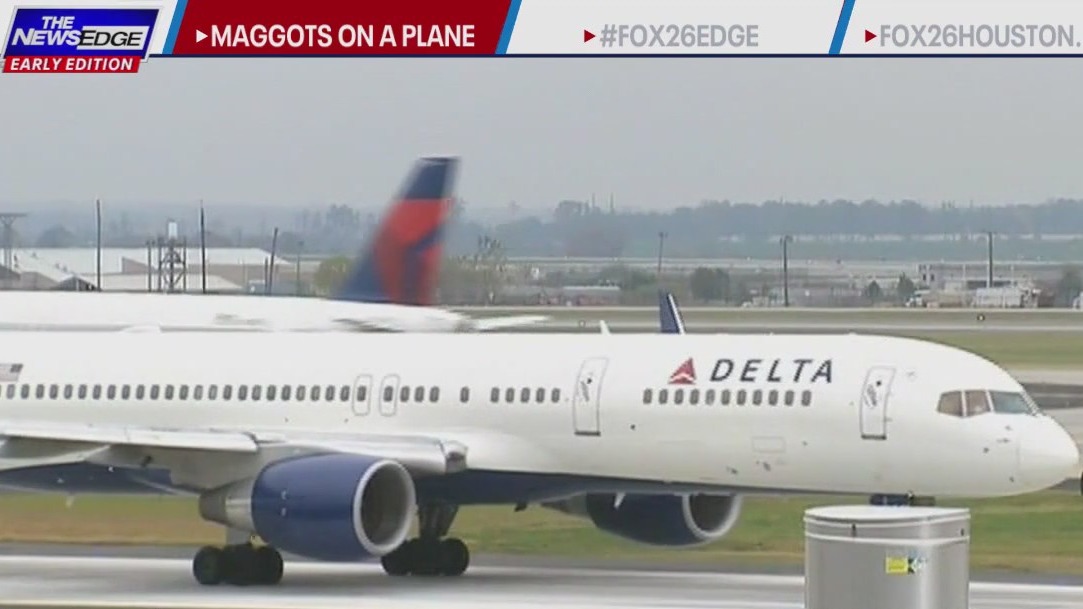 Maggots fell onto Delta plane passenger