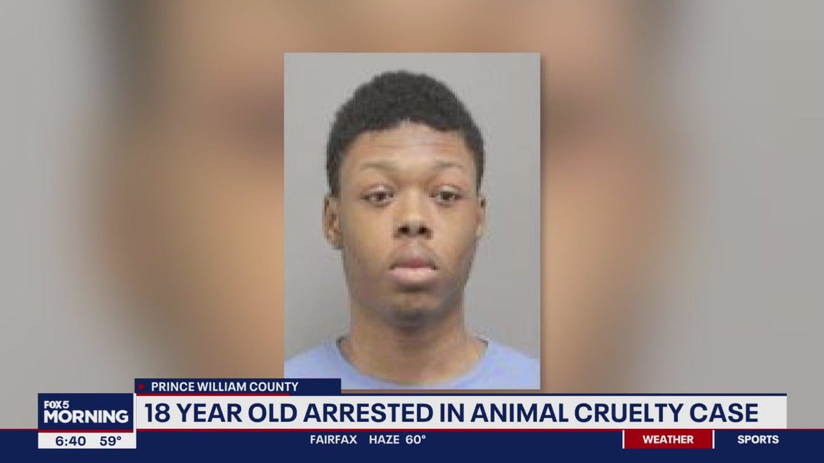 Woodbridge man charged with animal cruelty