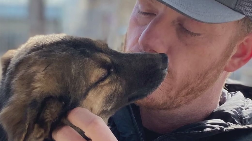 Army veteran helps rescue thousands of dogs from war-torn Ukraine