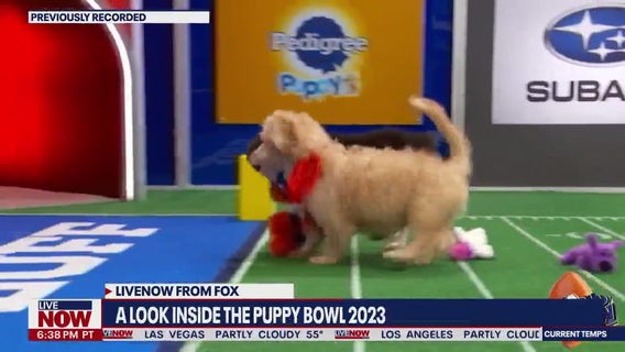 These are the top puppy names by state