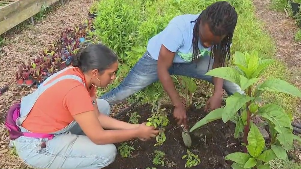 Urban Growers Collective celebrates National Plant Something Day