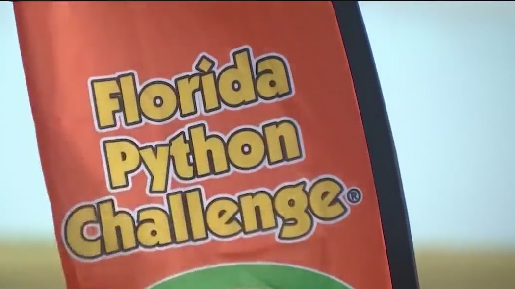 Annual Florida Python Challenge begins