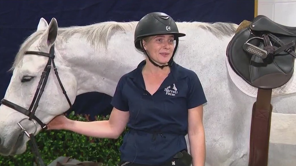 Florida horses bundling up for cold weather