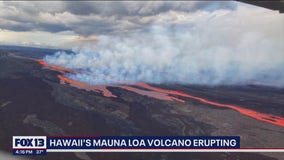 Hawaii’s Mauna Loa, world’s largest active volcano, erupts for first time since 1984