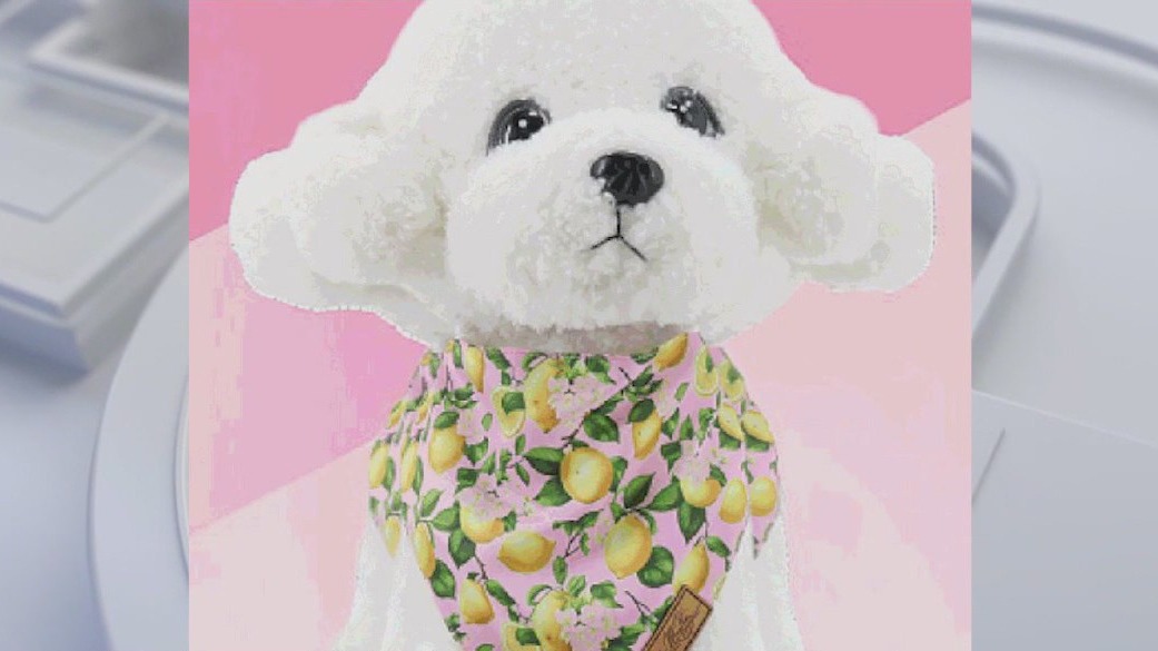 Fashion line lets dog moms match with fur babies