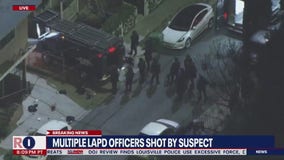 Los Angeles shooting leaves 3 police officers injured, suspect at large | LiveNOW from FOX
