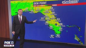 Tampa Weather | Temperatures heating up