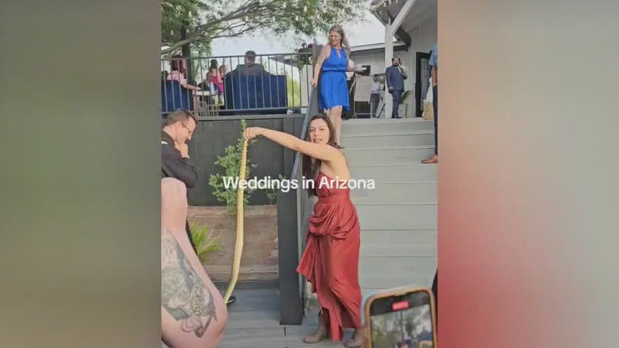 Snake crashes Arizona wedding