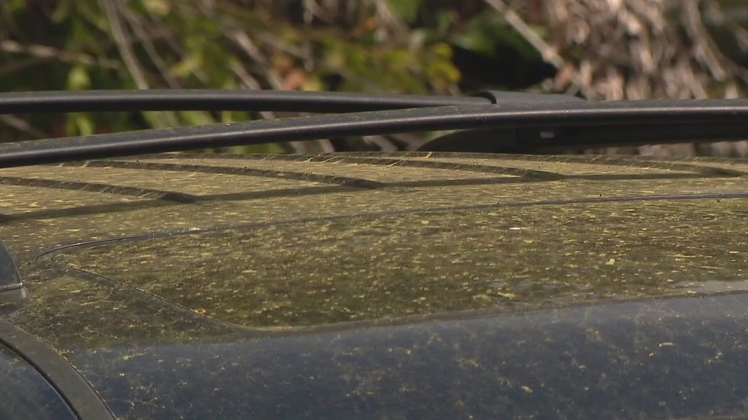 How many more weeks until pollen eases up in Bay Area?