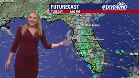 Tampa weather: Sunday night forecast