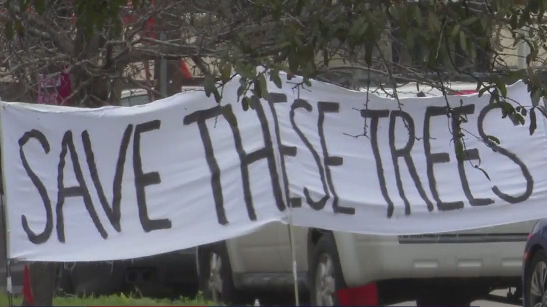'Save Montrose Live Oaks' protest held on Saturday