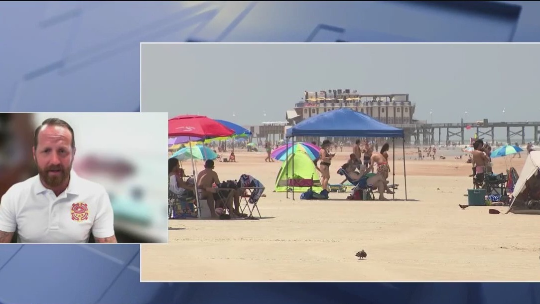200+ jellyfish stings at Florida beach