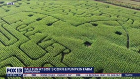 Fall fun at Bob's Corn and Pumpkin Farm