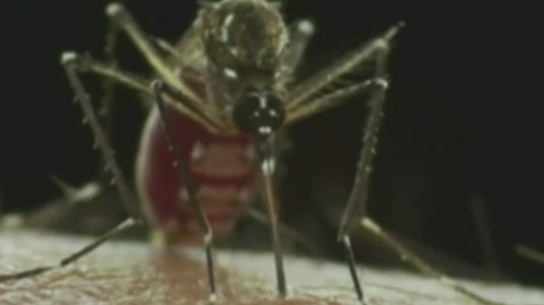 Central Florida counties spraying for mosquitos from the sky