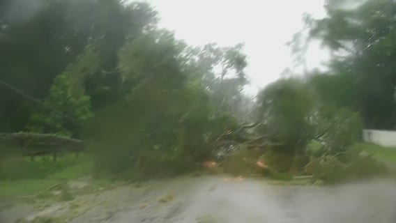 Hurricane Idalia damage: Neighborhood littered with down trees in Mayo