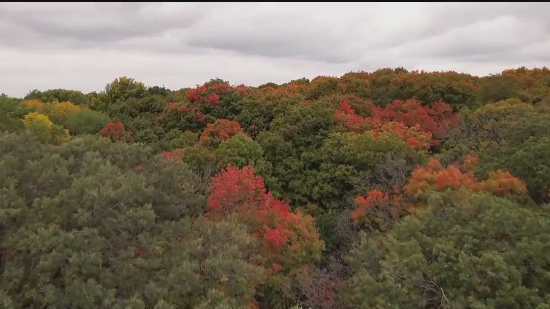 Rain improves drought in MN