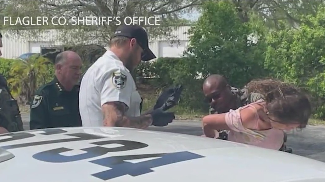 Deputies stung by hornets after wild pursuit, arrests