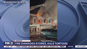 Fire rips through stores in Mendota