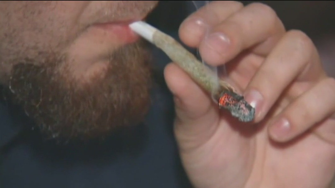 Recreational Marijuana May Be On Florida’s Ballot | FOX 13 Tampa Bay