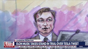 Elon Musk takes stand in Tesla tweets trial
